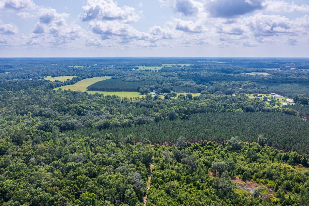 Tbd County Rd. 252, Wellborn, FL 32094 Photo
