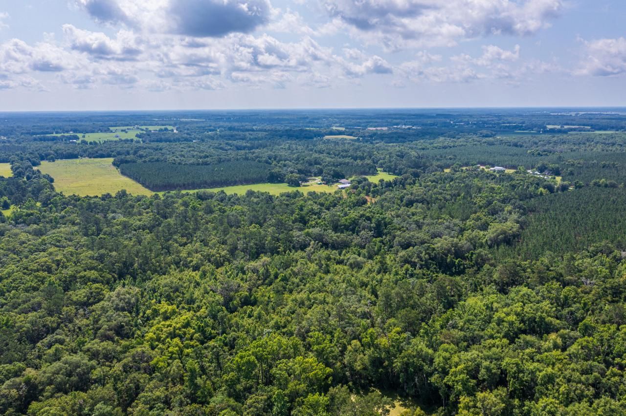 Tbd County Rd. 252, Wellborn, FL 32094 Photo