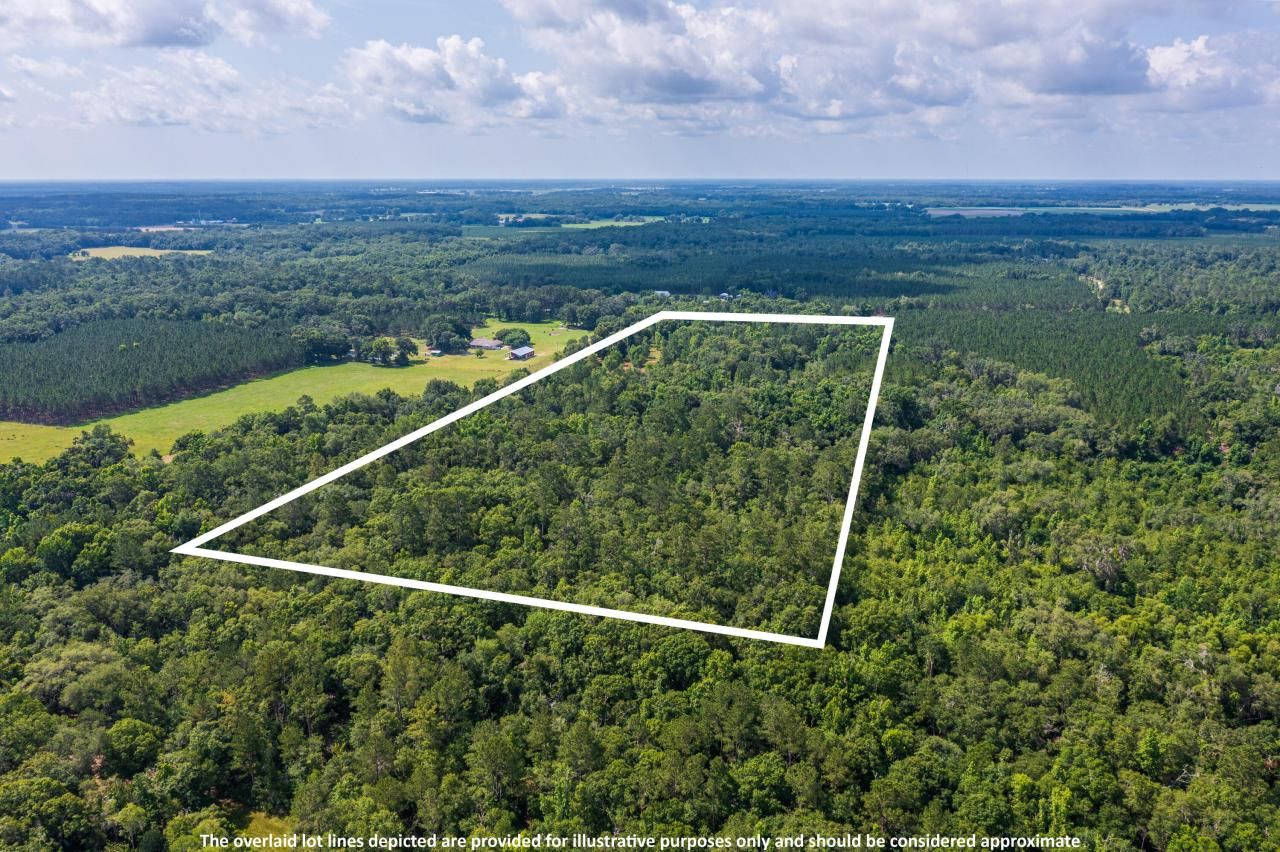 Tbd County Rd. 252, Wellborn, FL 32094 Photo