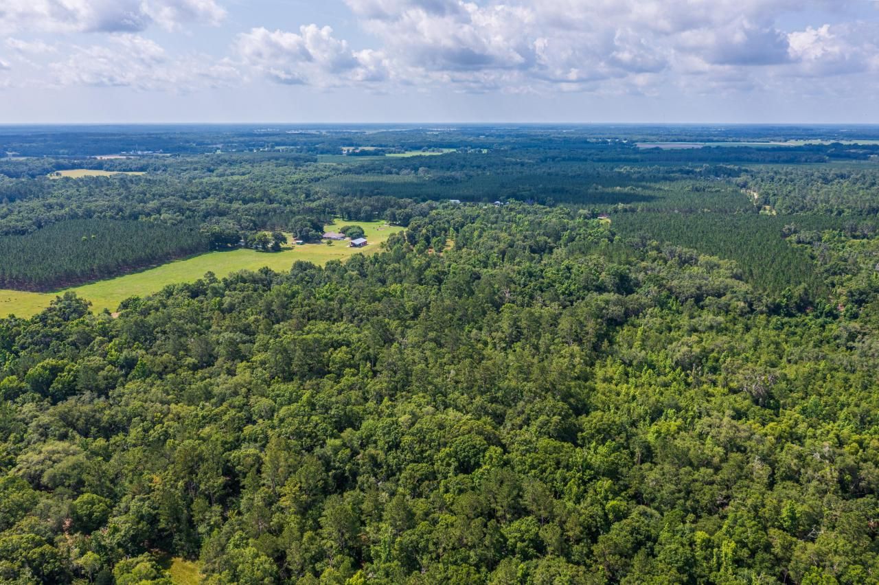 Tbd County Rd. 252, Wellborn, FL 32094 Photo