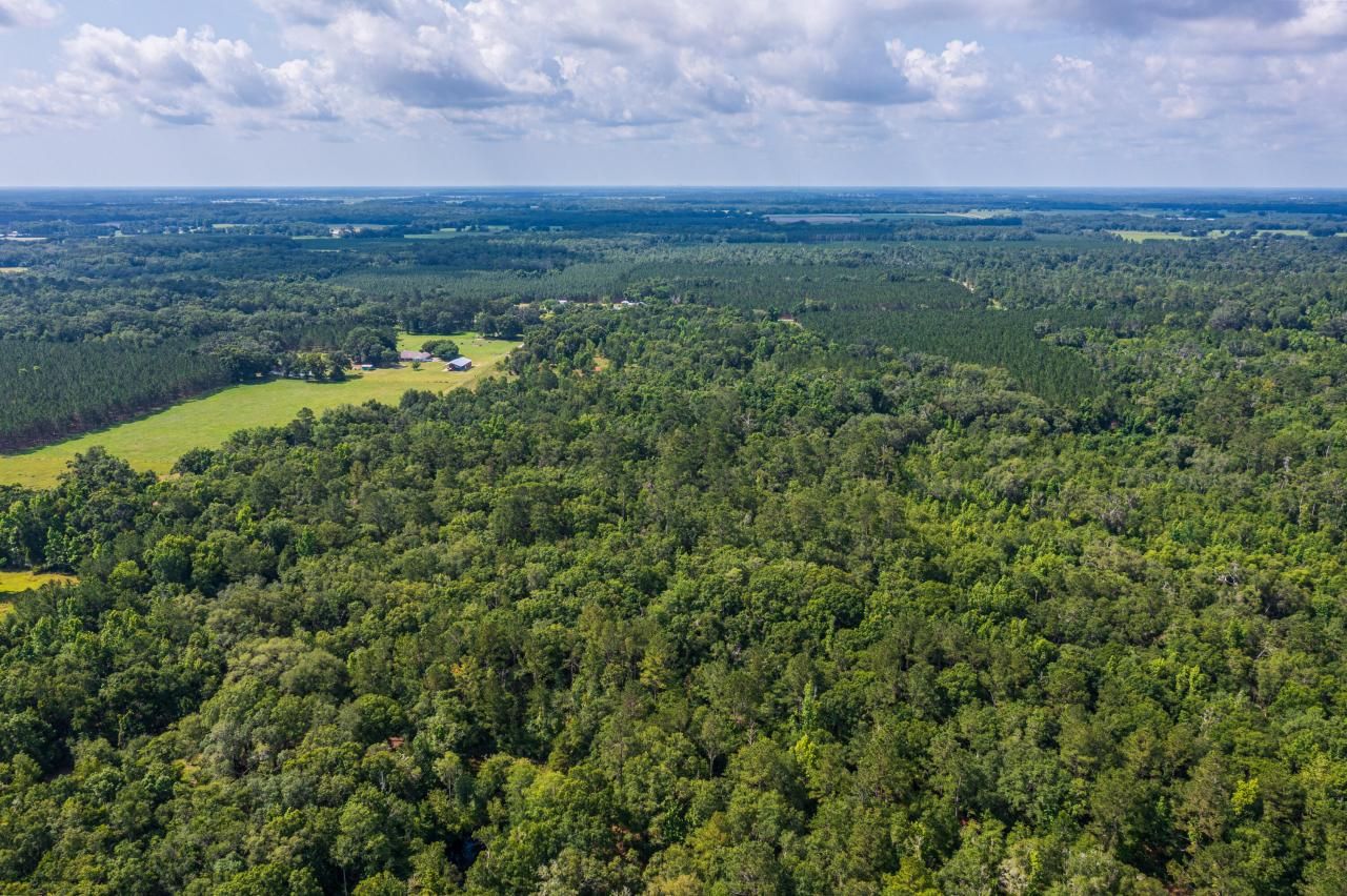 Tbd County Rd. 252, Wellborn, FL 32094 Photo