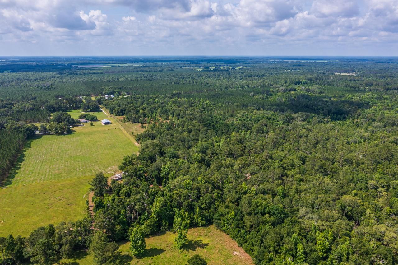Tbd County Rd. 252, Wellborn, FL 32094 Photo