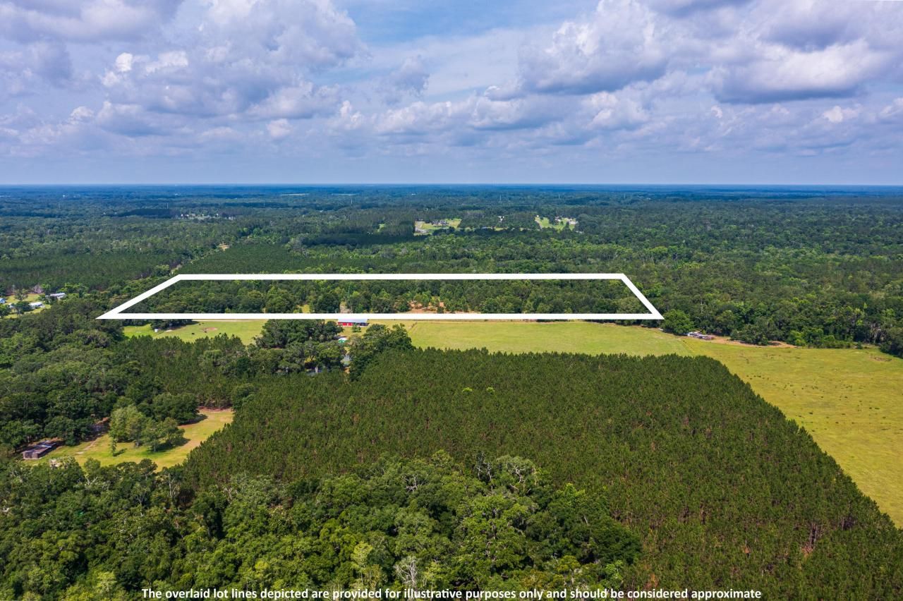 Tbd County Rd. 252, Wellborn, FL 32094 Photo