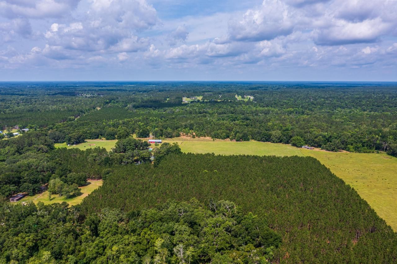 Tbd County Rd. 252, Wellborn, FL 32094 Photo