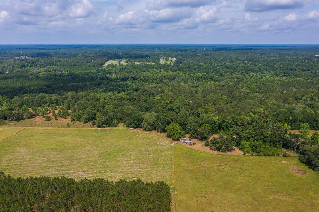 Tbd County Rd. 252, Wellborn, FL 32094 Photo