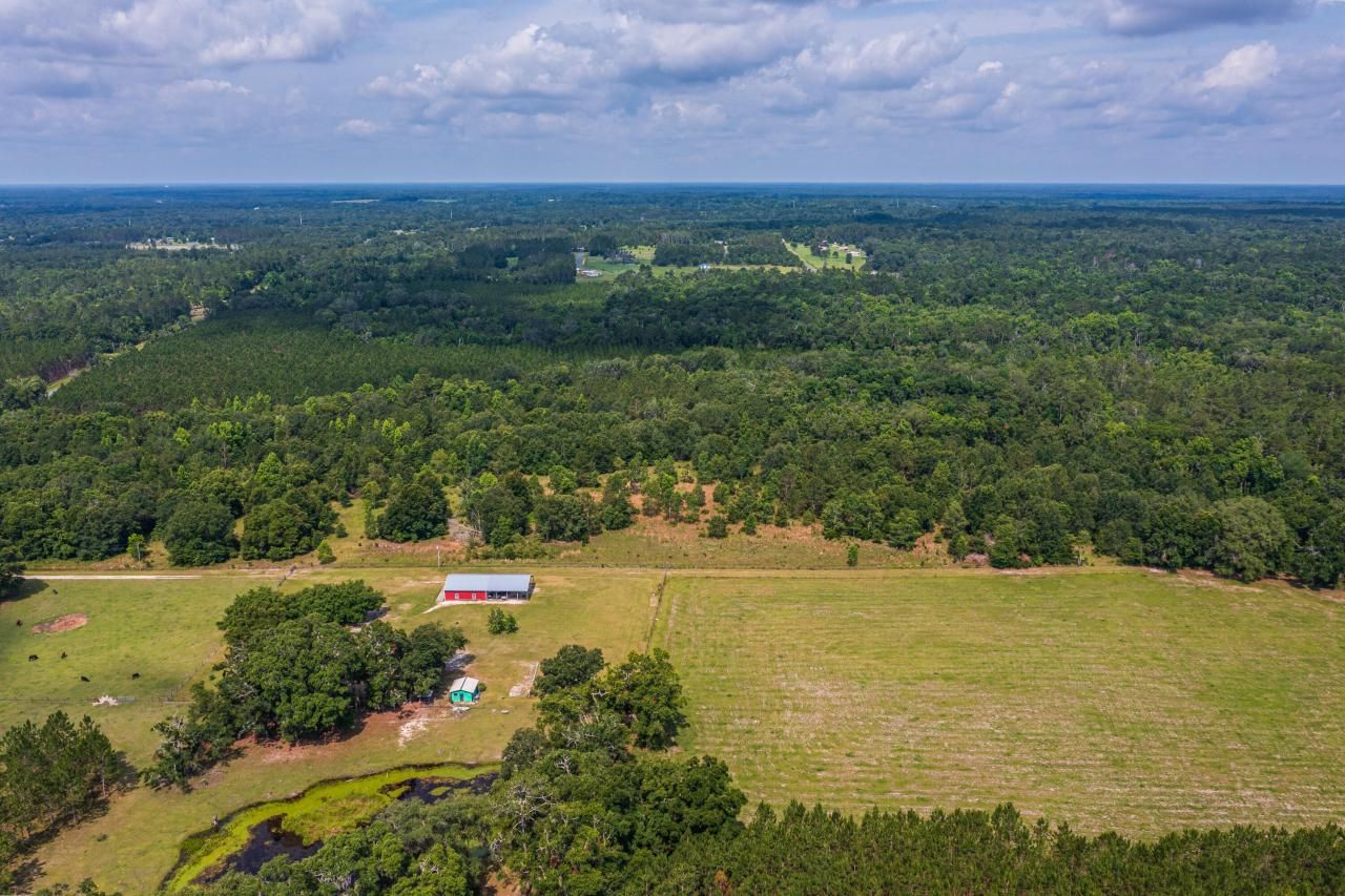Tbd County Rd. 252, Wellborn, FL 32094 Photo