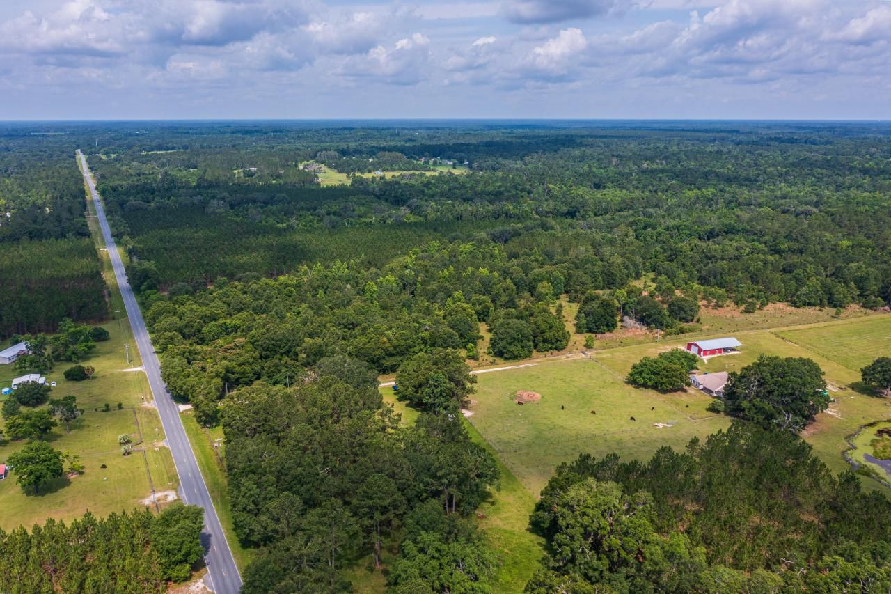 Tbd County Rd. 252, Wellborn, FL 32094 Photo