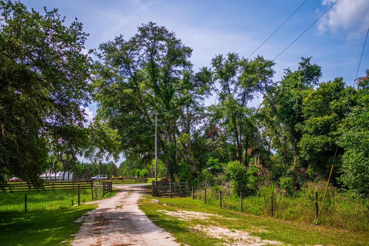 Tbd County Rd. 252, Wellborn, FL 32094 Photo