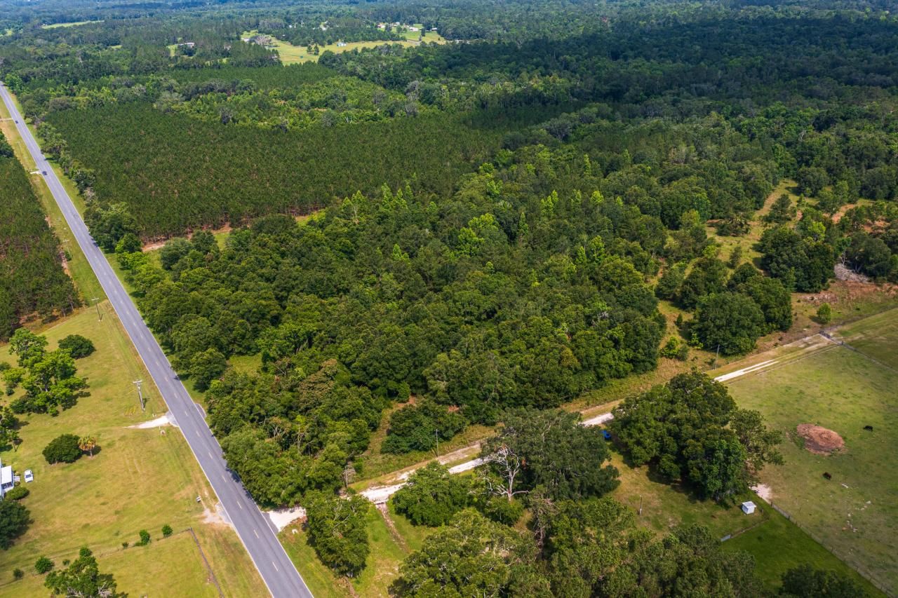 Tbd County Rd. 252, Wellborn, FL 32094 Photo