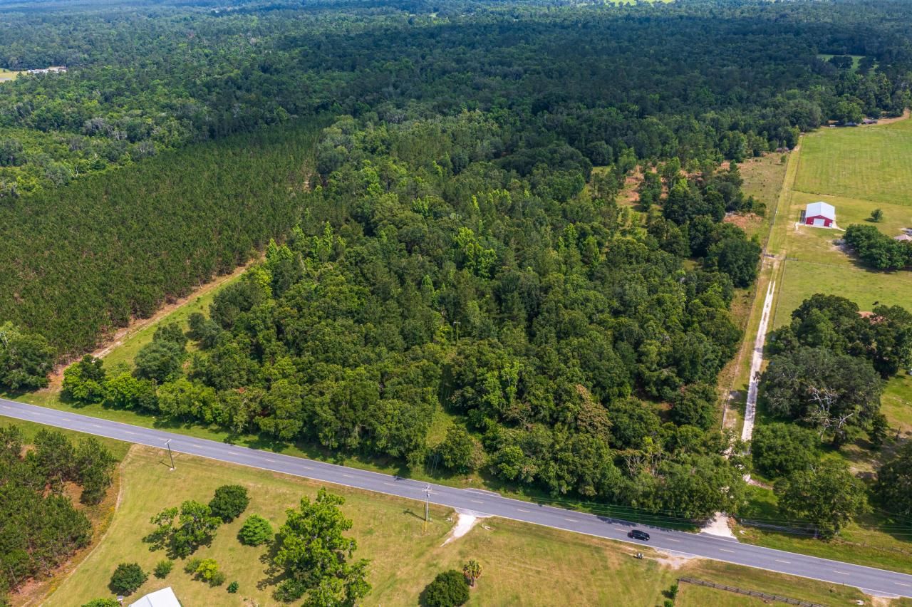 Tbd County Rd. 252, Wellborn, FL 32094 Photo
