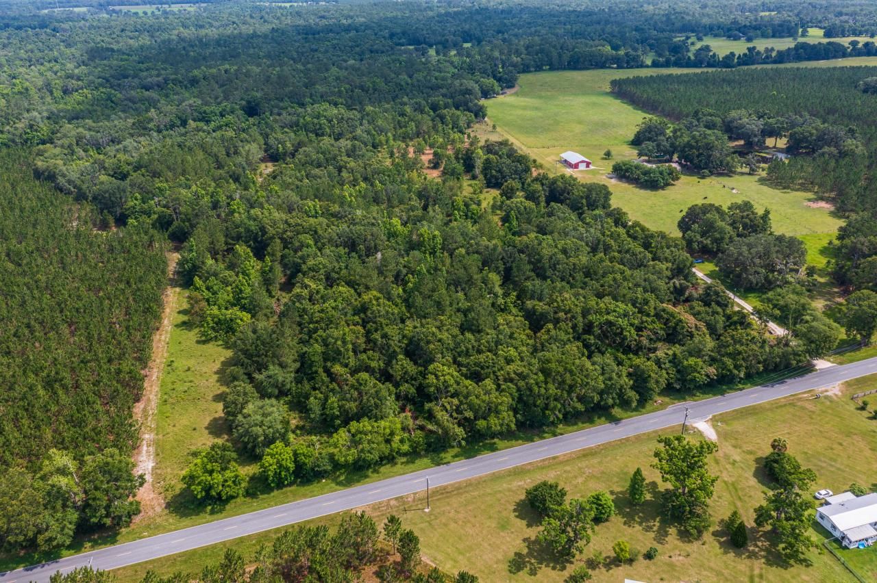 Tbd County Rd. 252, Wellborn, FL 32094 Photo