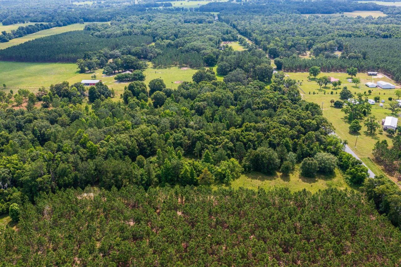 Tbd County Rd. 252, Wellborn, FL 32094 Photo