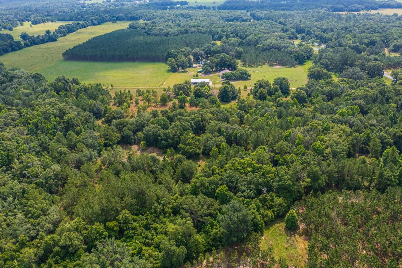 Tbd County Rd. 252, Wellborn, FL 32094 Photo