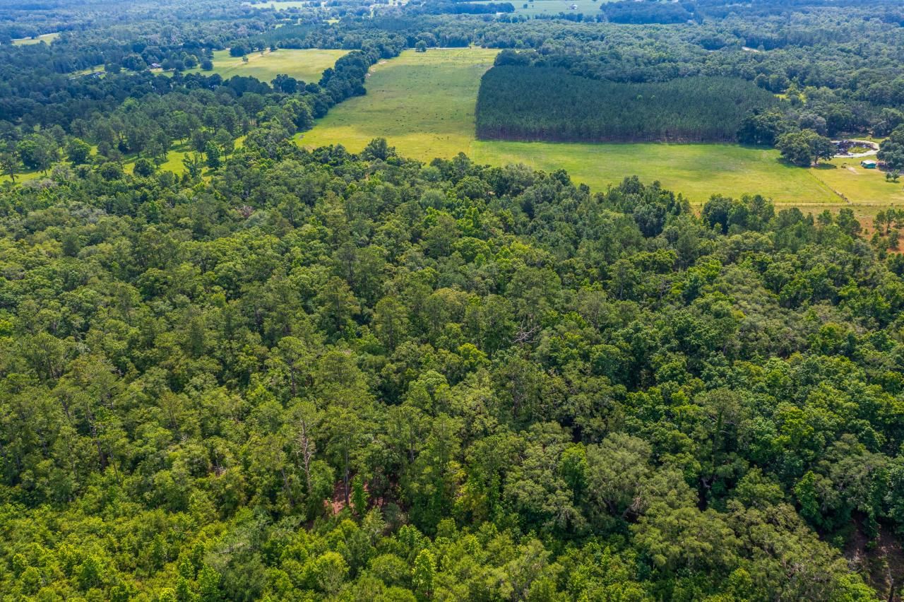 Tbd County Rd. 252, Wellborn, FL 32094 Photo