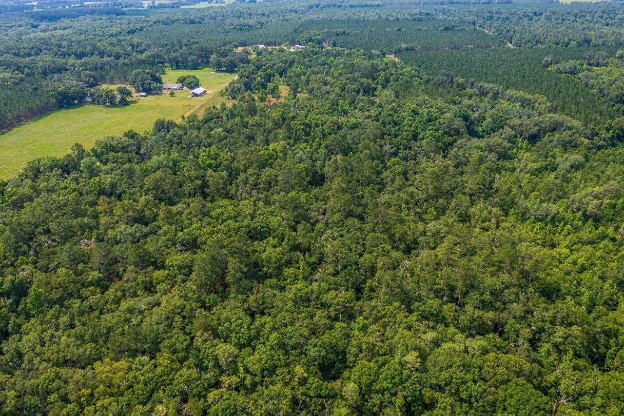 Tbd County Rd. 252, Wellborn, FL 32094 Photo