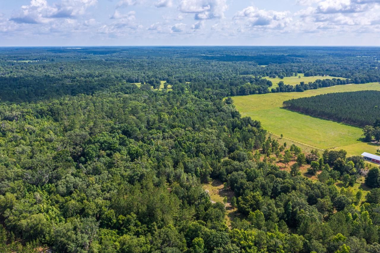 Tbd County Rd. 252, Wellborn, FL 32094 Photo