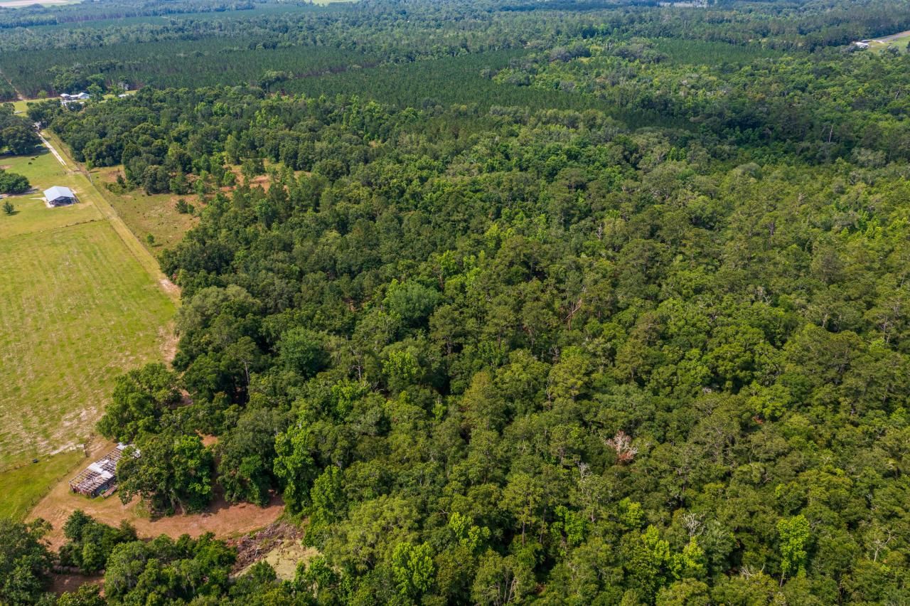 Tbd County Rd. 252, Wellborn, FL 32094 Photo