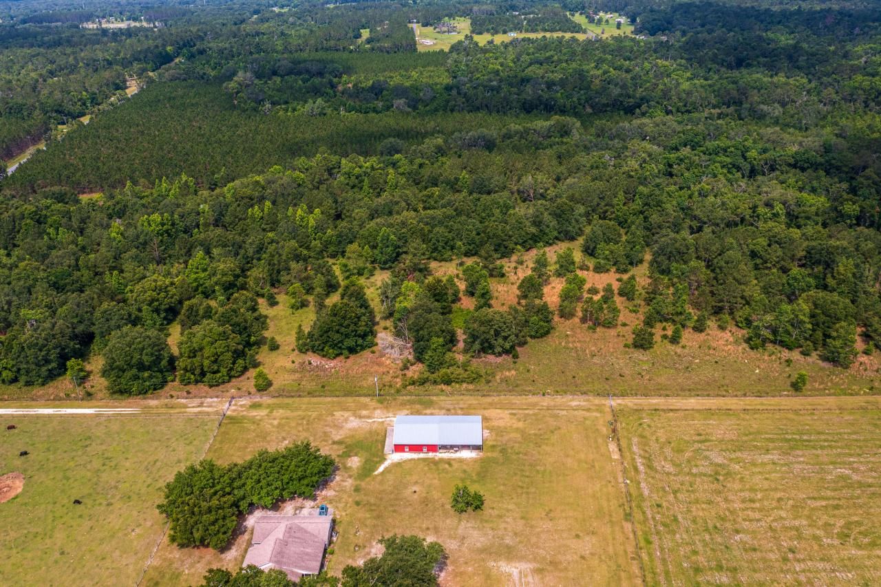 Tbd County Rd. 252, Wellborn, FL 32094 Photo