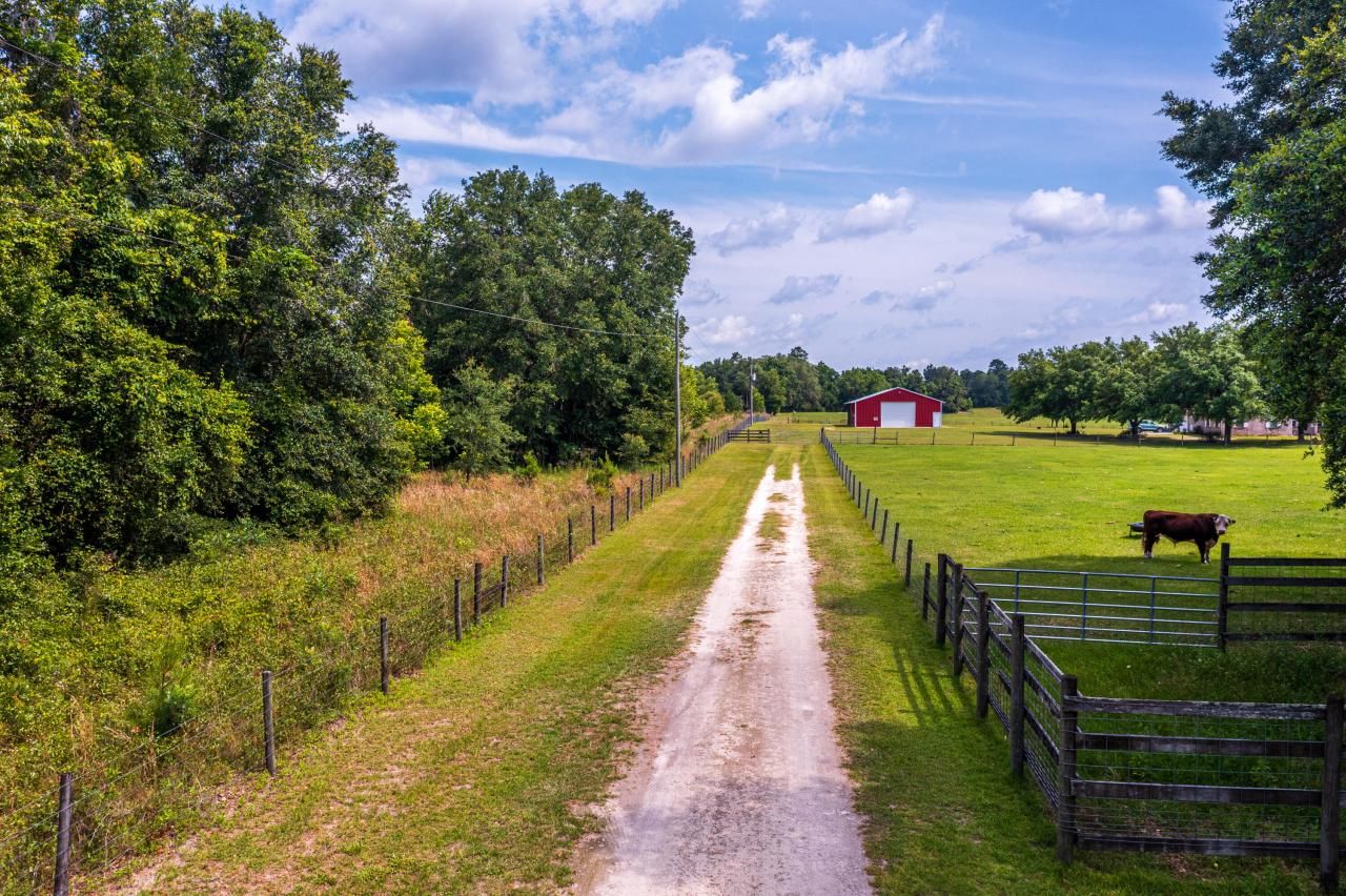 Tbd County Rd. 252, Wellborn, FL 32094 Photo