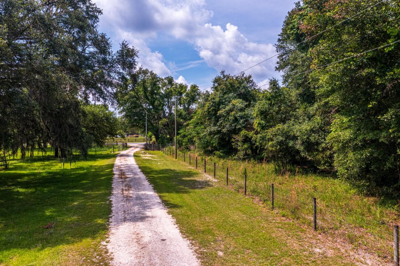 Tbd County Rd. 252, Wellborn, FL 32094 Photo
