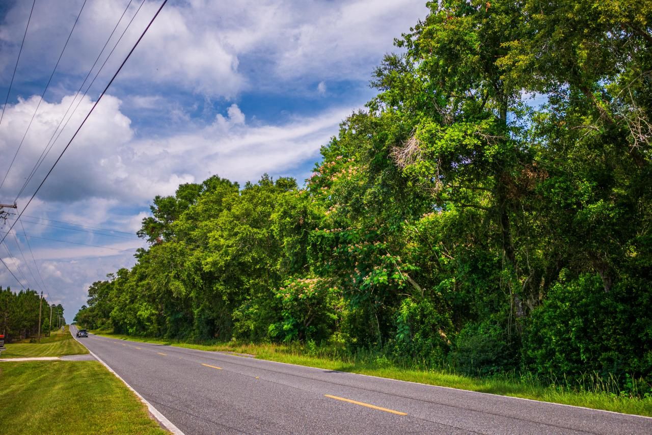 Tbd County Rd. 252, Wellborn, FL 32094 Photo