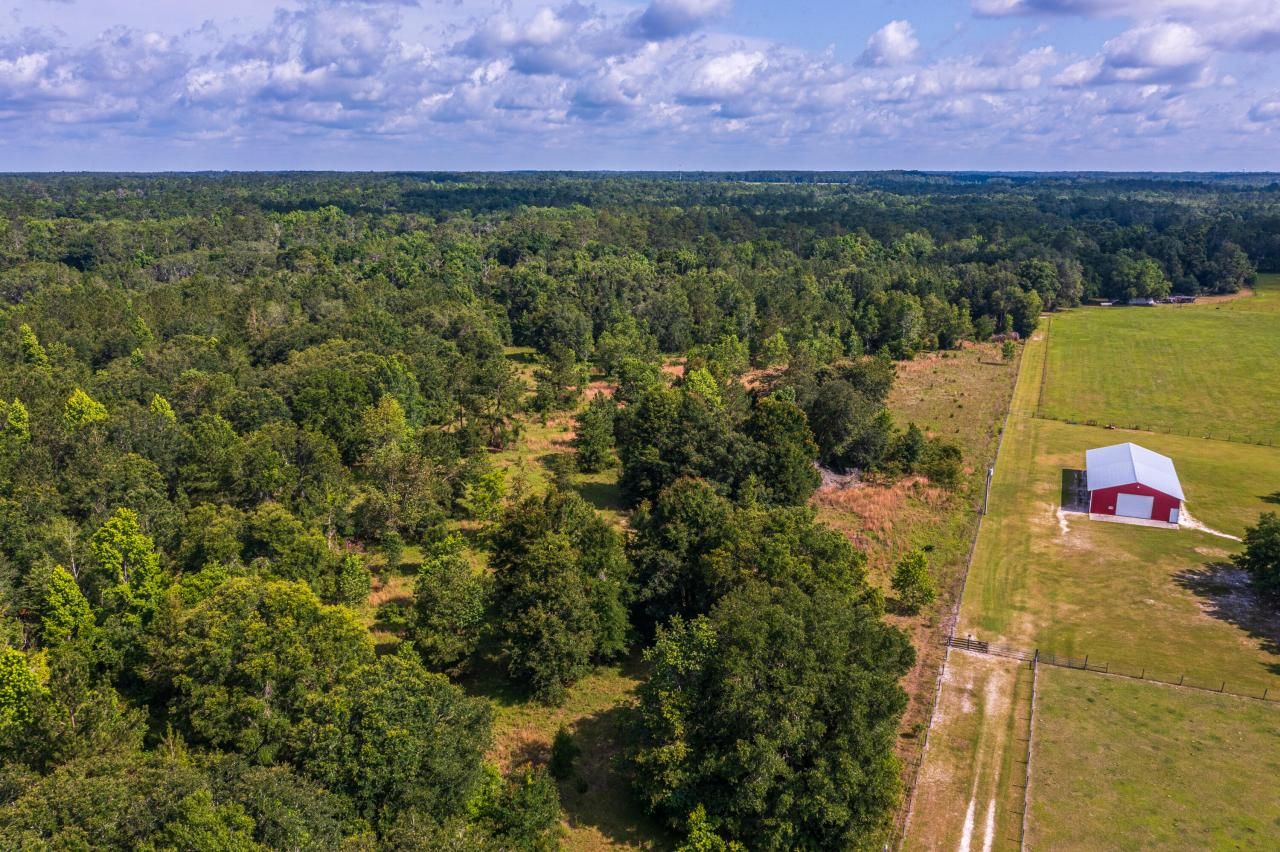 Tbd County Rd. 252, Wellborn, FL 32094 Photo