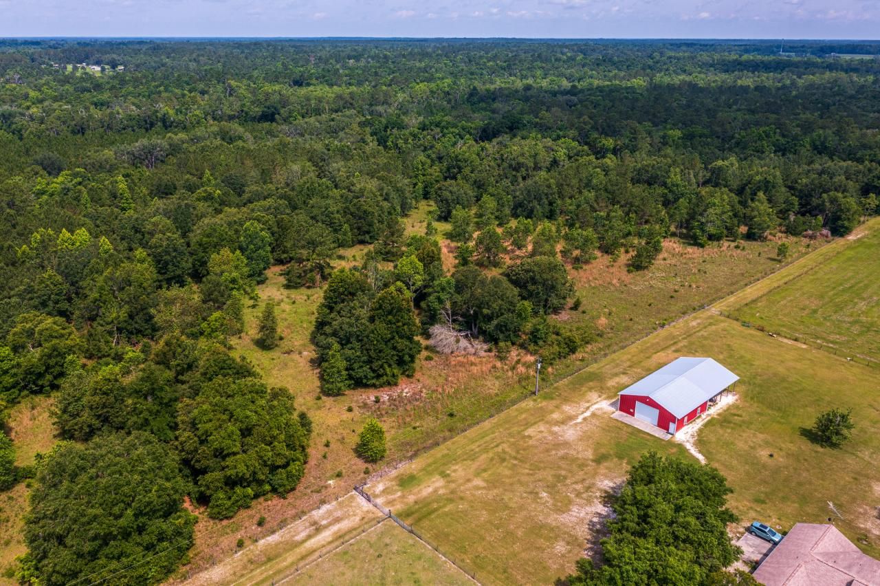 Tbd County Rd. 252, Wellborn, FL 32094 Photo