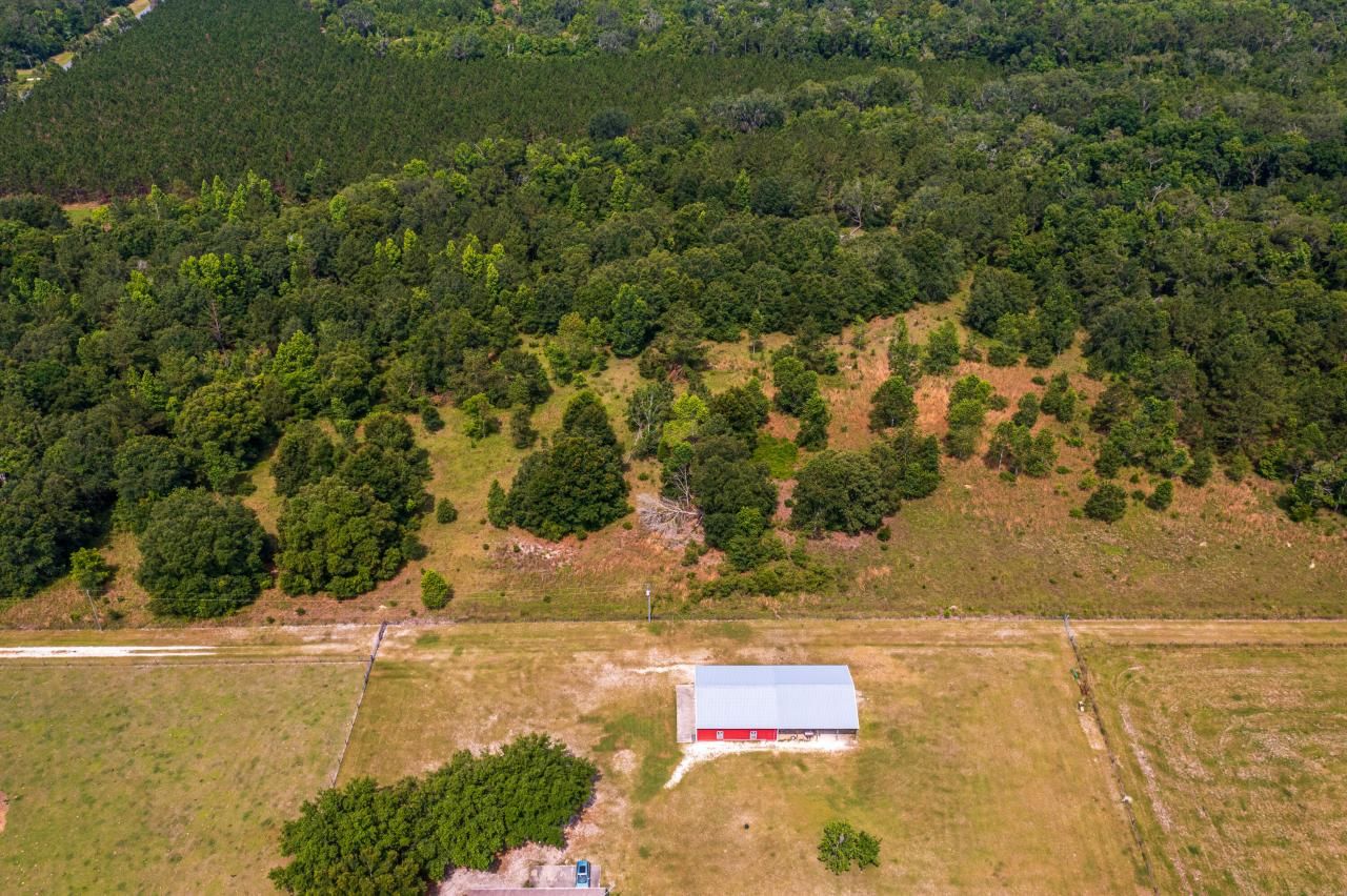 Tbd County Rd. 252, Wellborn, FL 32094 Photo