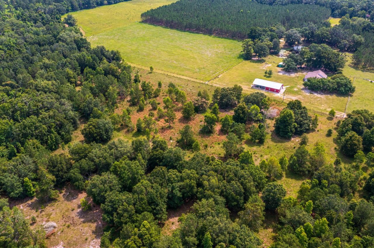 Tbd County Rd. 252, Wellborn, FL 32094 Photo