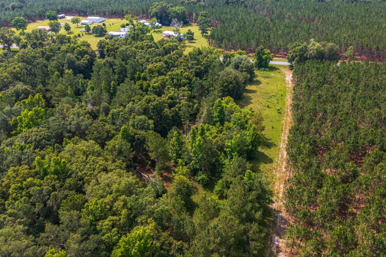 Tbd County Rd. 252, Wellborn, FL 32094 Photo