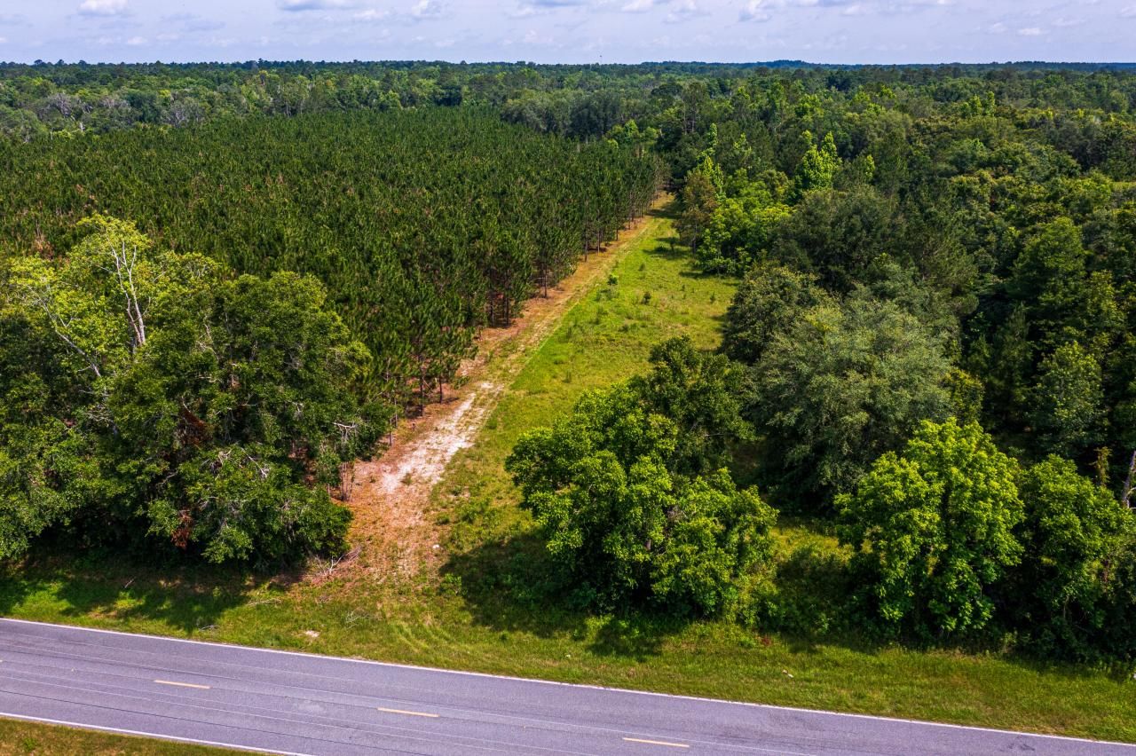 Tbd County Rd. 252, Wellborn, FL 32094 Photo
