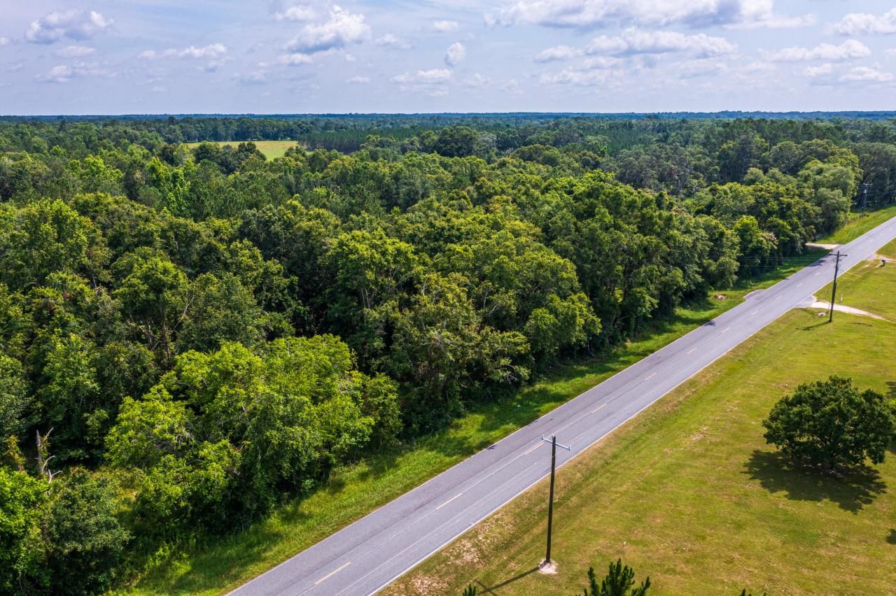 Tbd County Rd. 252, Wellborn, FL 32094 Photo