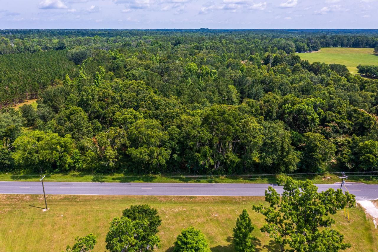 Tbd County Rd. 252, Wellborn, FL 32094 Photo