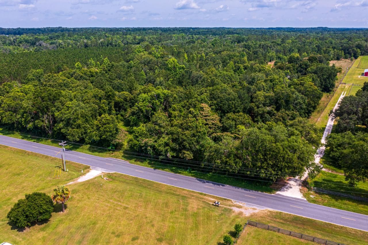 Tbd County Rd. 252, Wellborn, FL 32094 Photo