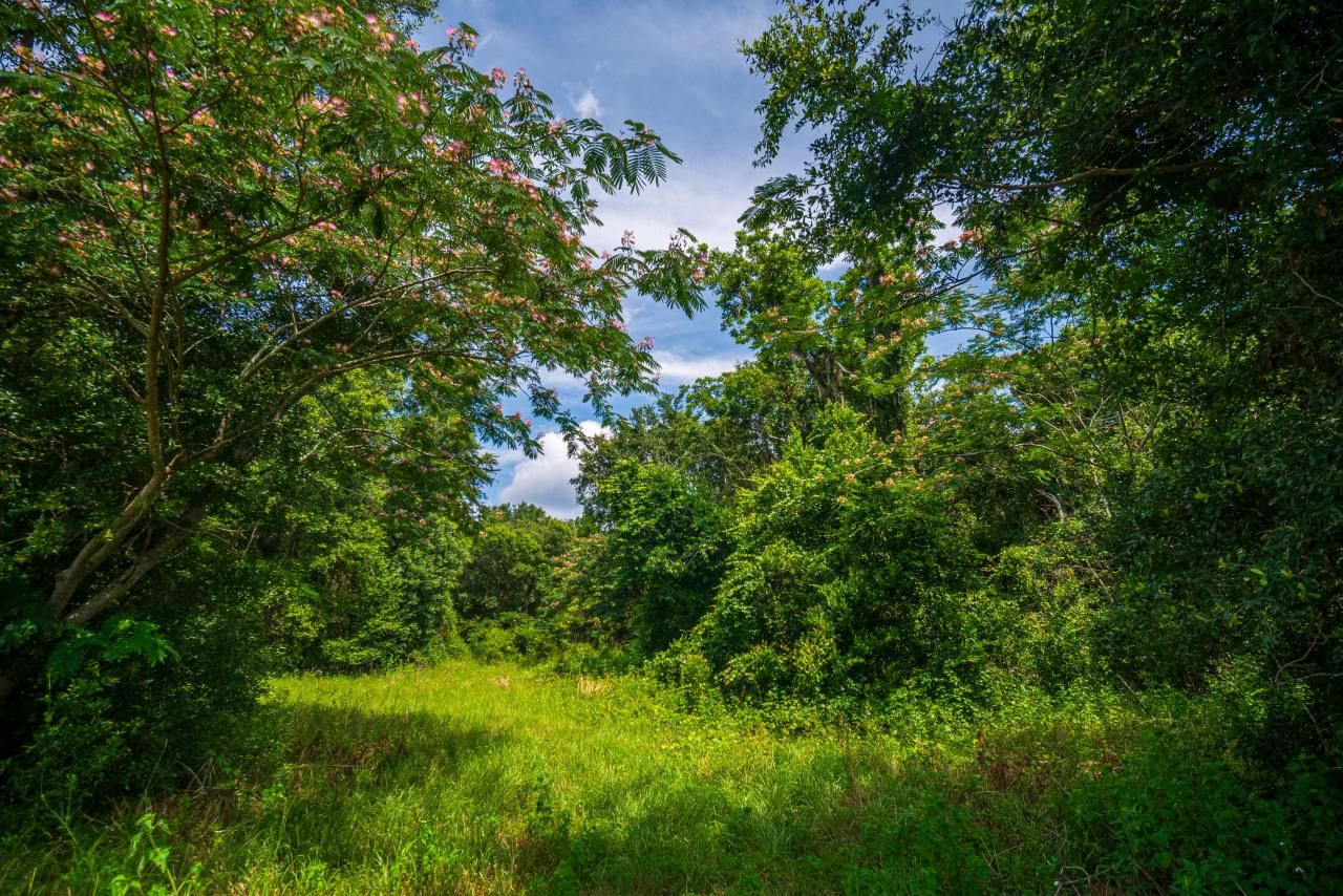 Tbd County Rd. 252, Wellborn, FL 32094 Photo