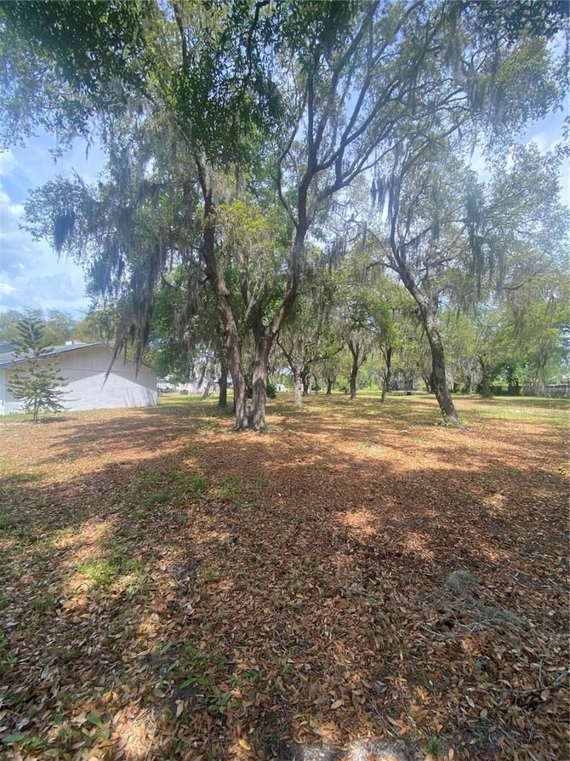 4151 Boggy Creek Road, Kissimmee, FL 34744 Photo