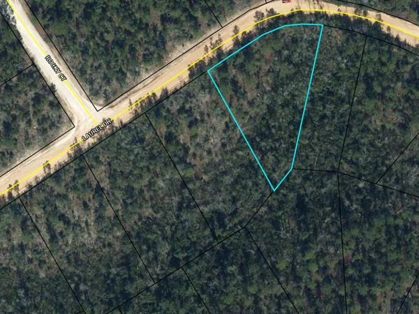 00 Laurel Drive, Alford, FL 32420