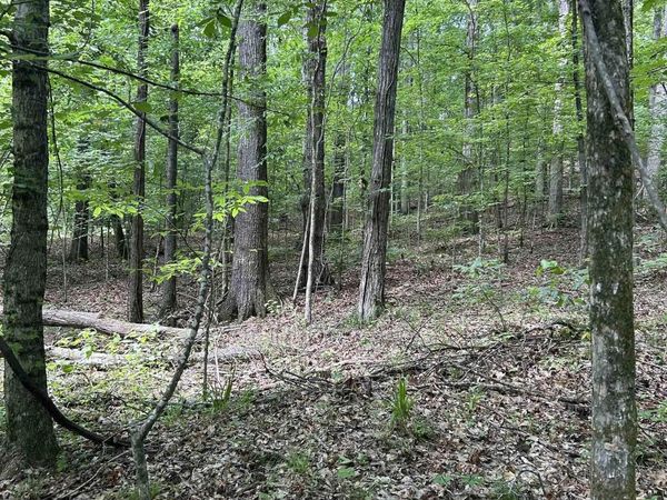 0 SFC 355, Colt, AR 72326