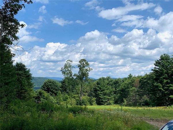 0 Huntley Hollow Road, Downsville, NY 13755