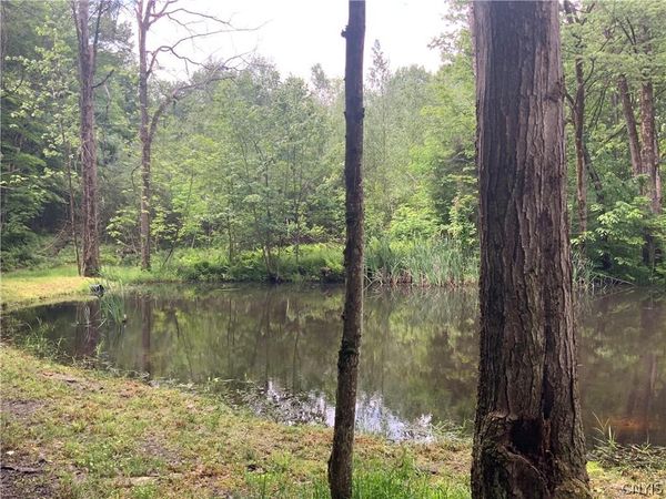 00 N Hillsboro Road, Camden, NY 13316