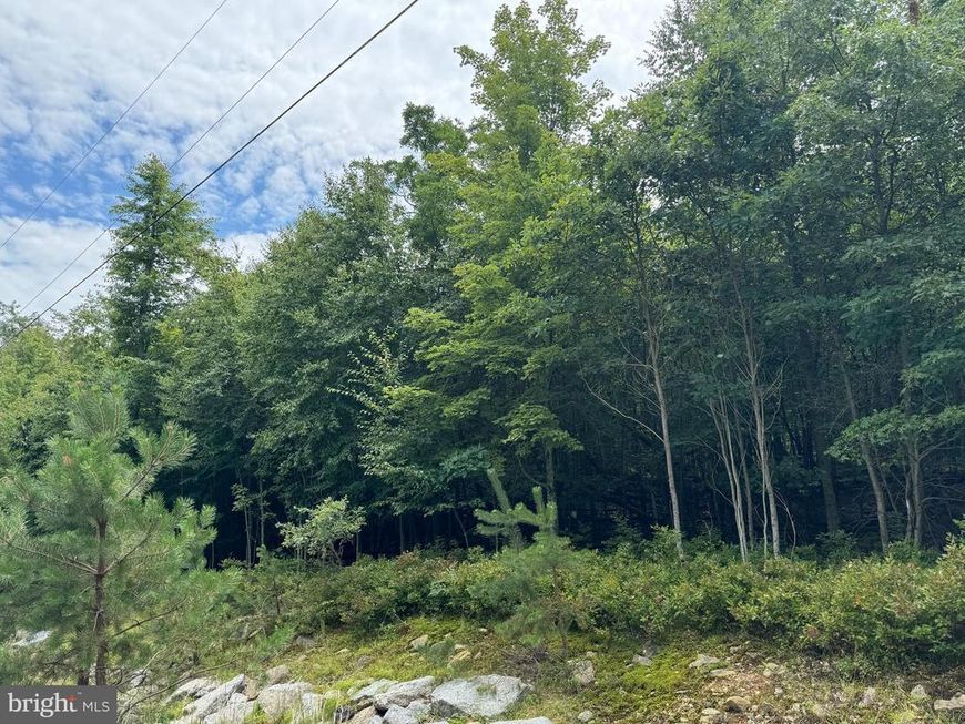 Mv-073 Stoney Mountain Road, Hazle Township, PA 18202 Main Photo