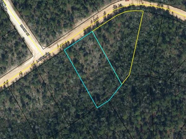 00000 Laurel Drive, Alford, FL 32420