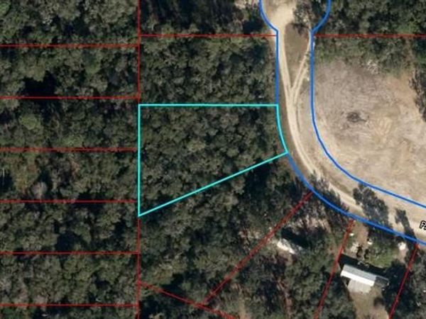 145 PALM DRIVE, BRONSON, FL 32621