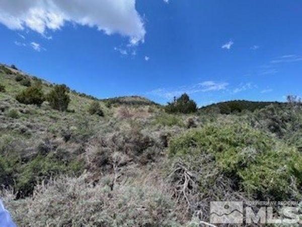 4720 Lost Burro Road, Virginia City, NV 89521