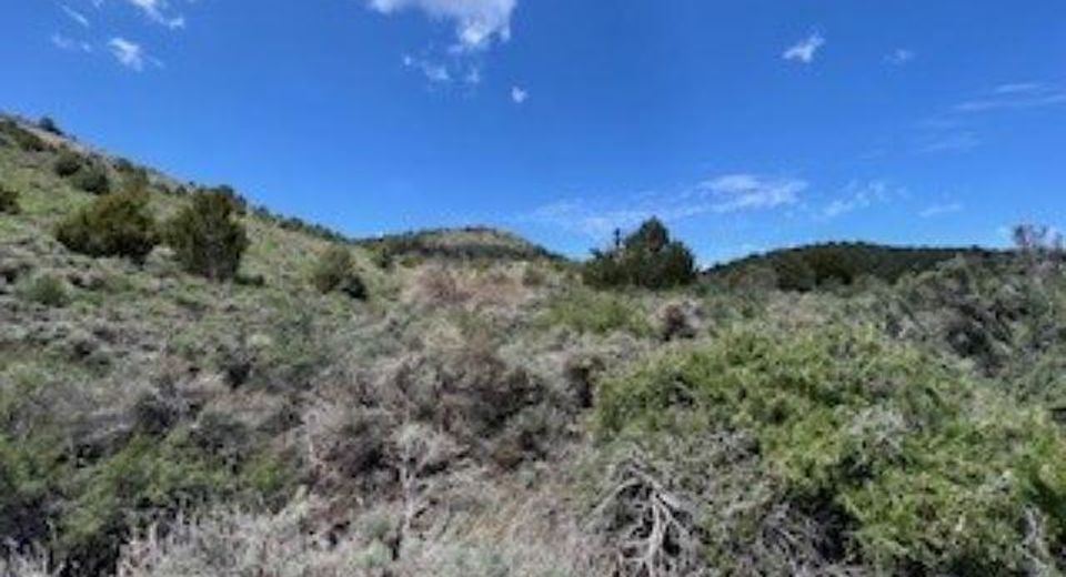 4720 Lost Burro Road, Virginia City, NV 89521 Photo