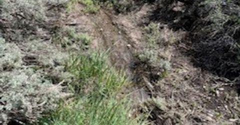 4720 Lost Burro Road, Virginia City, NV 89521 Photo