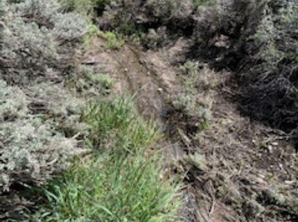 4720 Lost Burro Road, Virginia City, NV 89521 Photo