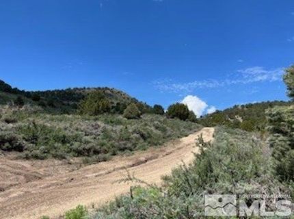 4720 Lost Burro Road, Virginia City, NV 89521 Photo
