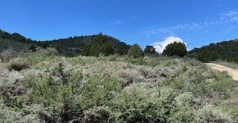 4720 Lost Burro Road, Virginia City, NV 89521 Photo
