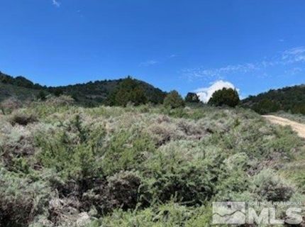 4720 Lost Burro Road, Virginia City, NV 89521 Photo